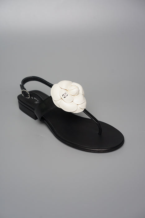 Chanel Camellia Sandals in Size 35.5 (Brand New)