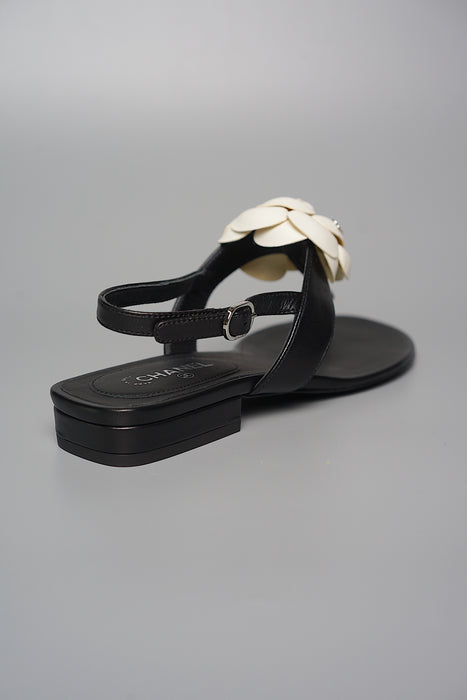 Chanel Camellia Sandals in Size 35.5 (Brand New)