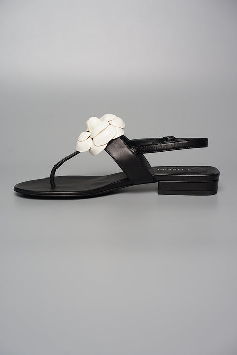 Chanel Camellia Sandals in Size 35.5 (Brand New)