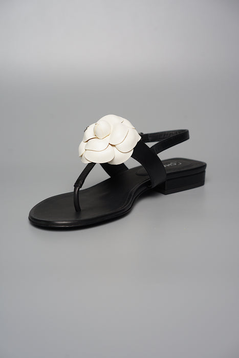 Chanel Camellia Sandals in Size 35.5 (Brand New)