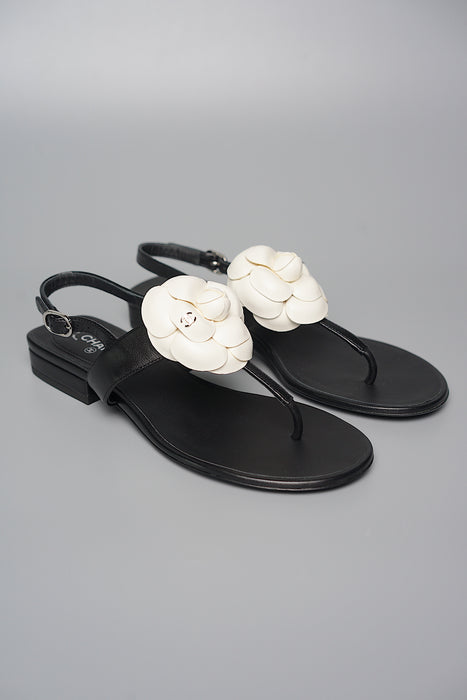 Chanel Camellia Sandals in Size 35.5 (Brand New)