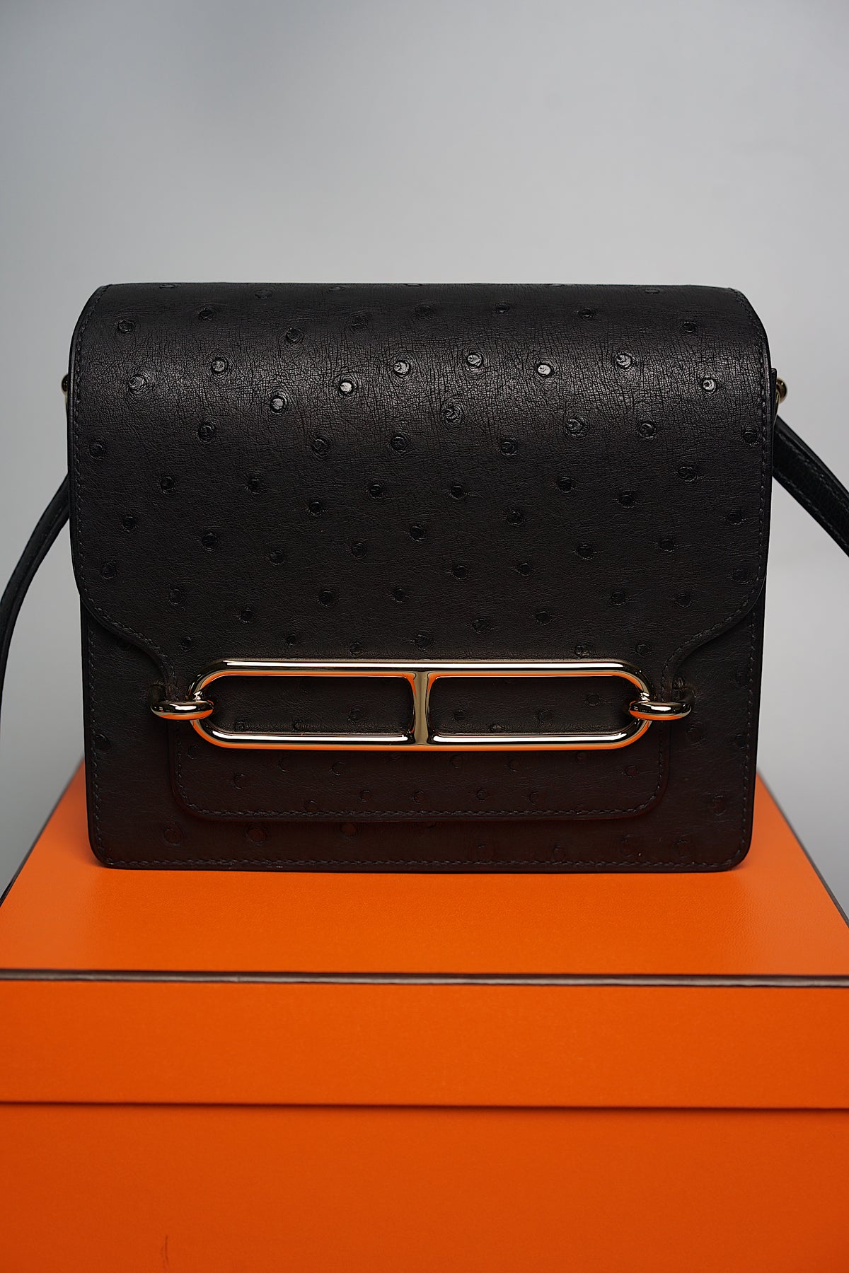 Hermes Mini Roulis in Noir Ostrich Pmb (Brand New)