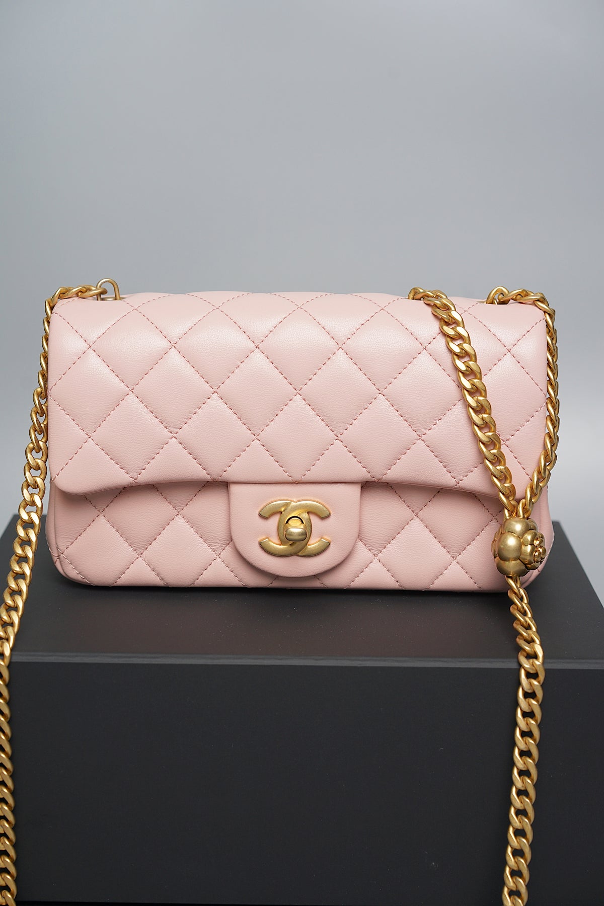 Chanel 23S Flap Bag with Camellia Crush (Brand New)– ORANGEPORTER