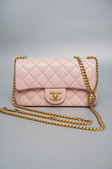 Chanel 23S Flap Bag with Camellia Crush (Brand New)