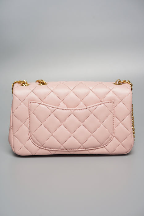 Chanel 23S Flap Bag with Camellia Crush (Brand New)